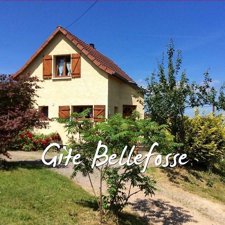 Maison Independante De Montagne En Alsace Bellefosse Экстерьер фото