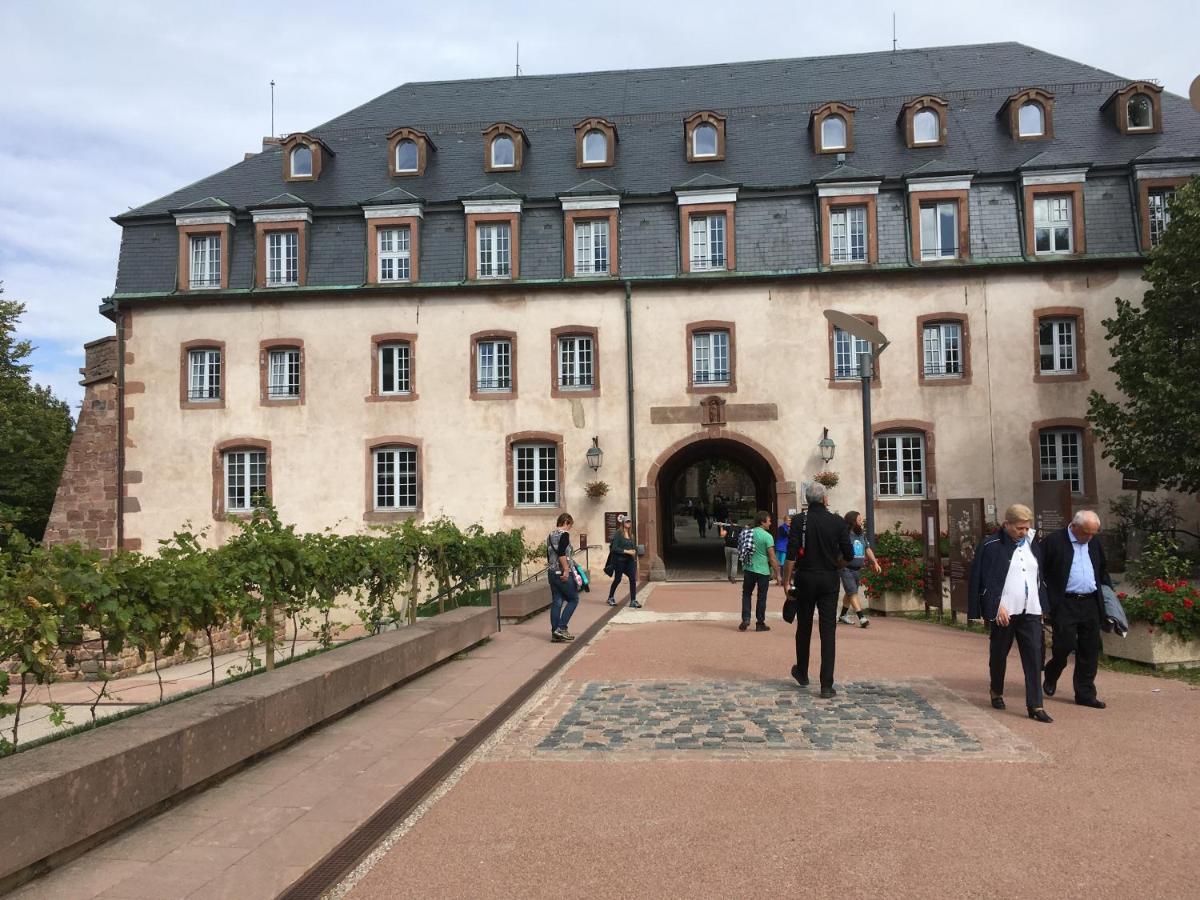 Maison Independante De Montagne En Alsace Bellefosse Экстерьер фото