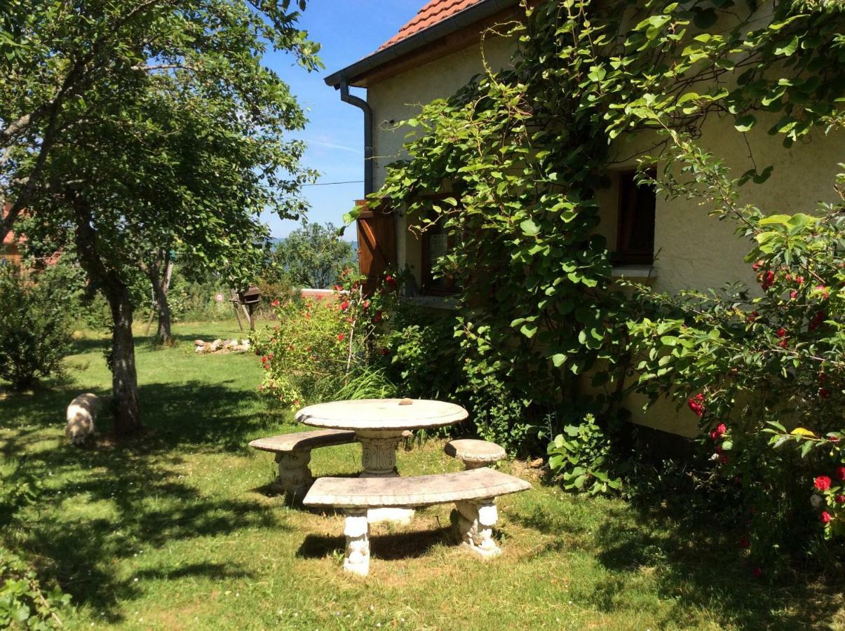 Maison Independante De Montagne En Alsace Bellefosse Экстерьер фото