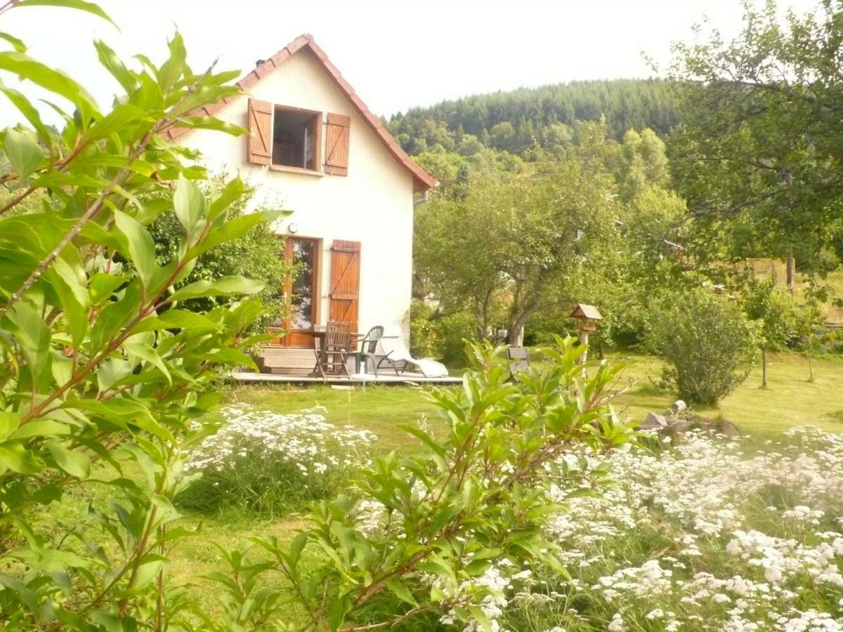 Maison Independante De Montagne En Alsace Bellefosse Экстерьер фото